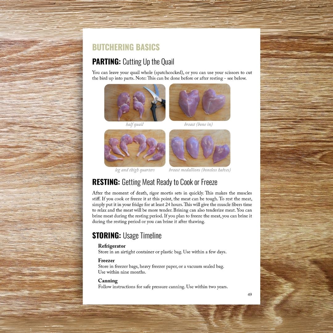 Beginner's Guide to Raising Coturnix Quail (Printed Booklet) image 6