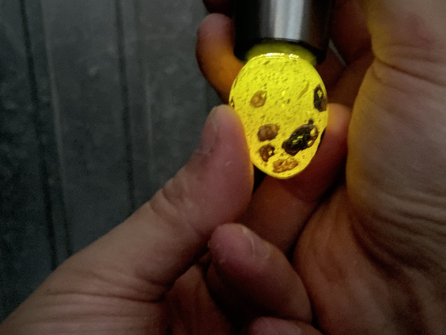 INCU-BRIGHT QUAIL EGG CANDLER image 2