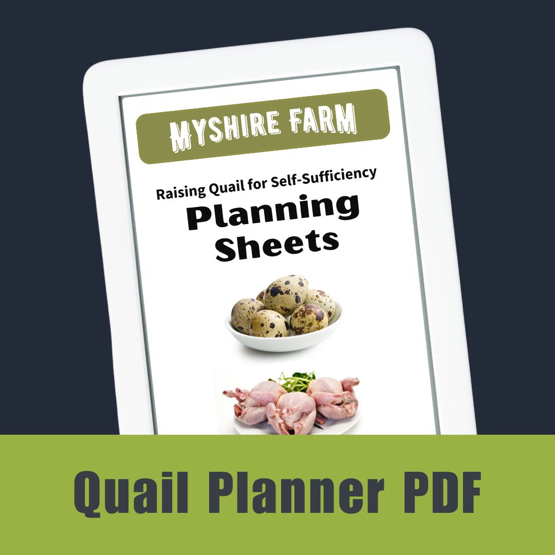 Quail Planner: Self-Sufficiency Calculator for Eggs & Meat