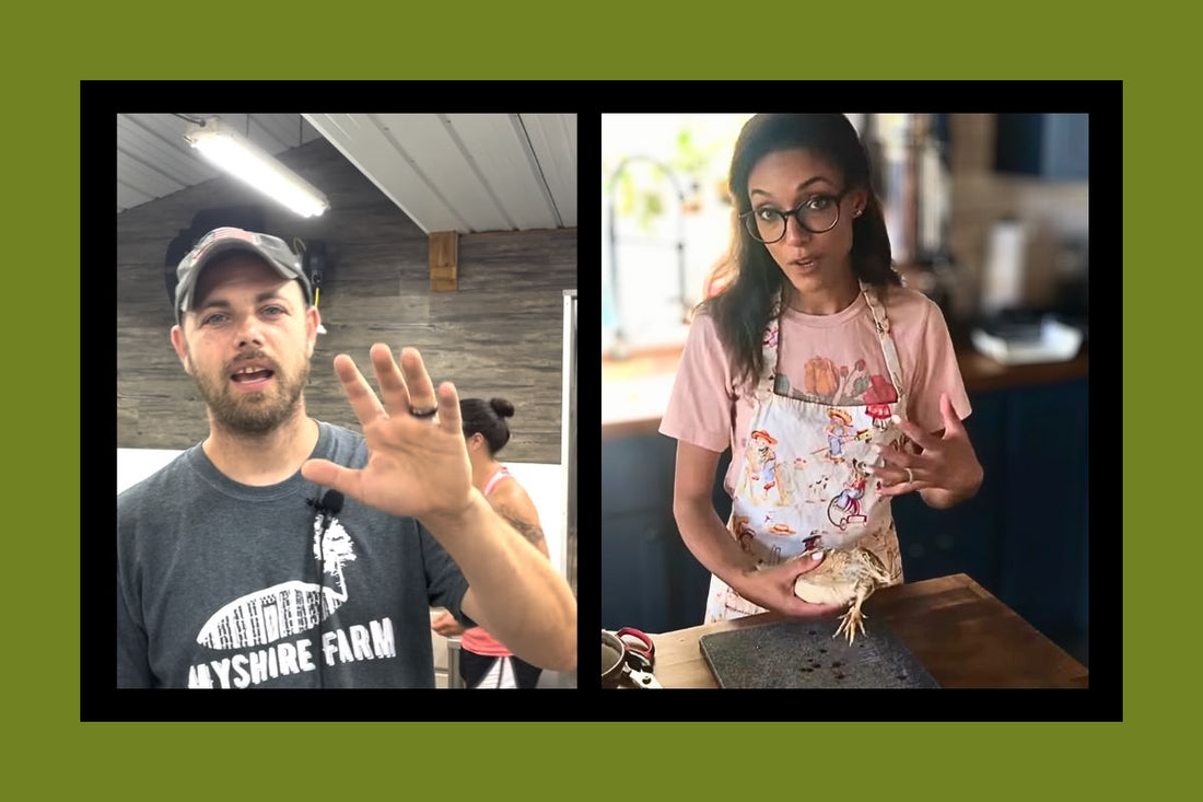 Quail Butchering Videos