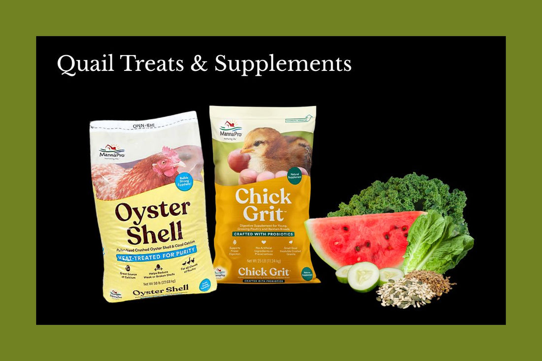 Quail Treats & Supplements