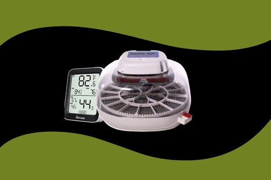 How to calibrate an incubator