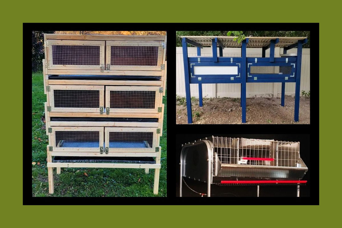 Intro to Cages & Hutches