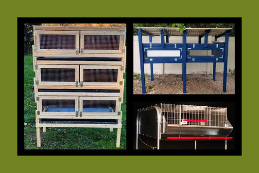 Intro to Cages & Hutches