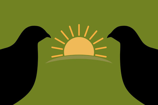 Seasonal Care: Summer
