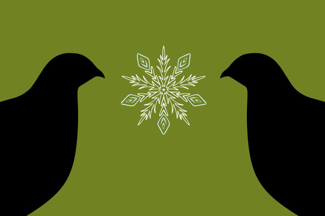 Seasonal Care: Winter