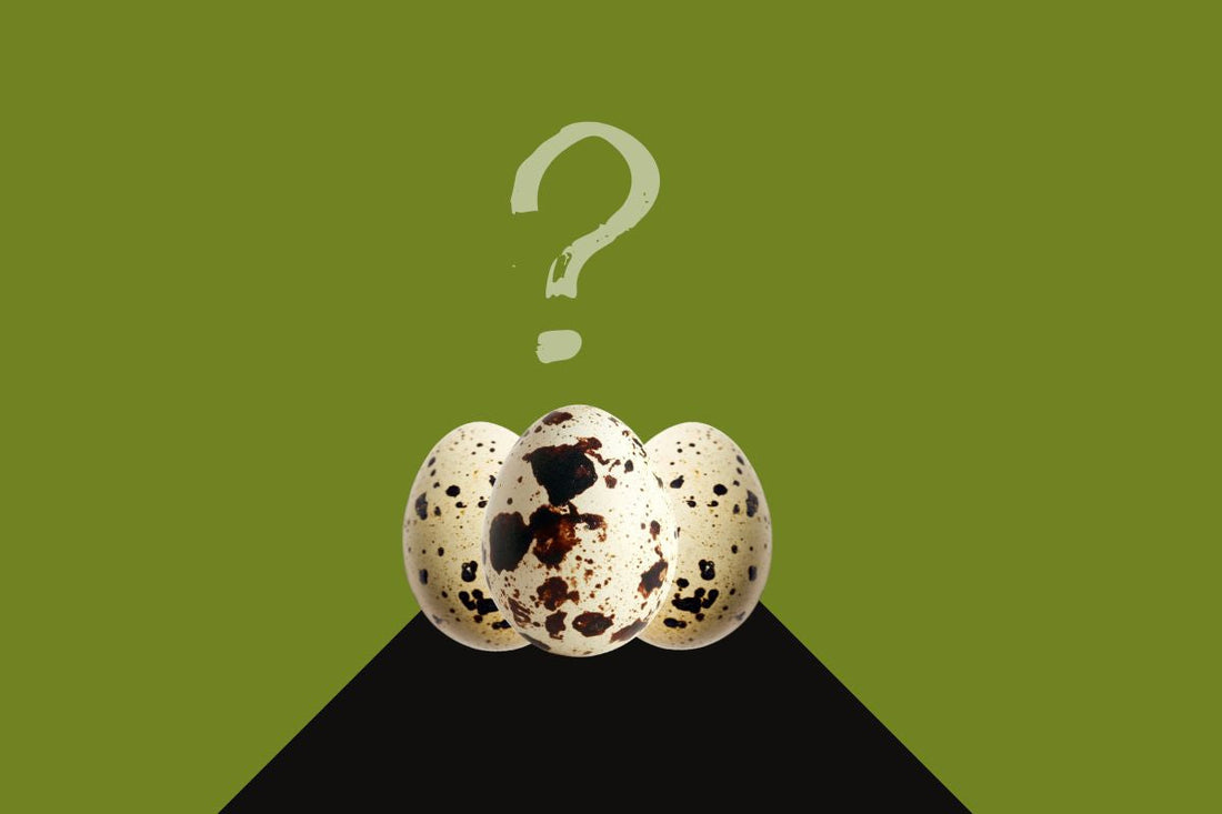 Why didn't all my eggs hatch?