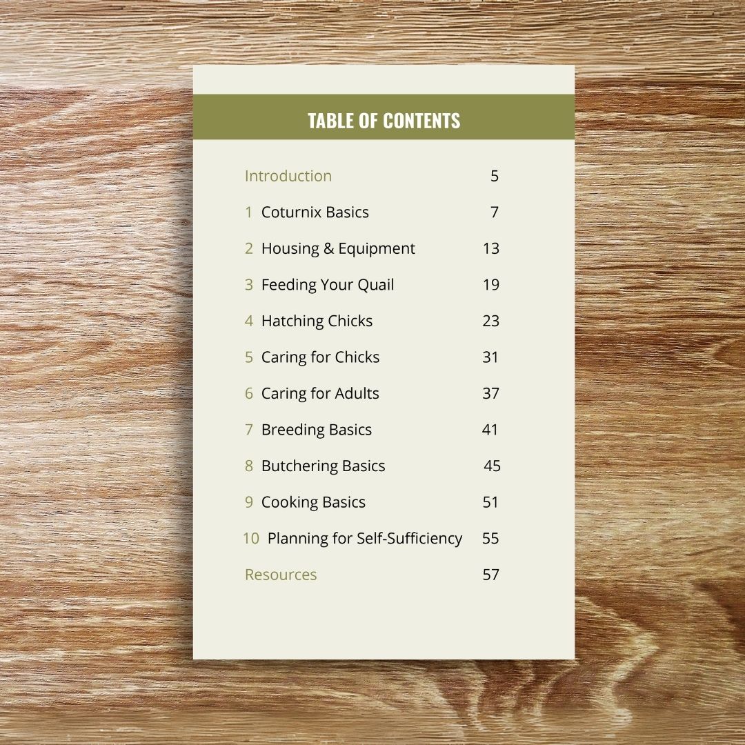 Beginner's Guide to Raising Coturnix Quail (Printed Booklet) image 1