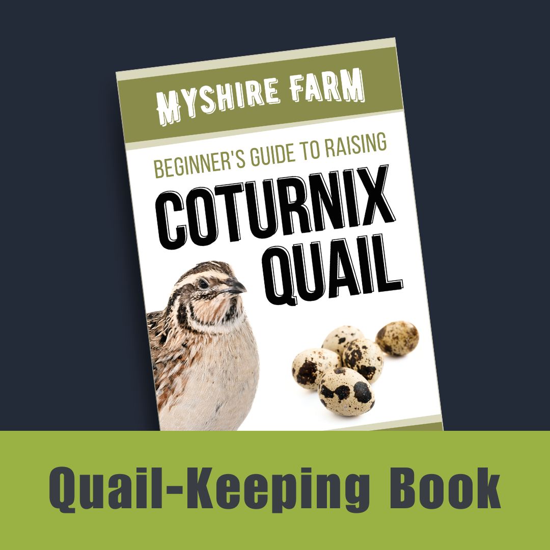 Beginner's Guide to Raising Coturnix Quail (Printed Booklet)