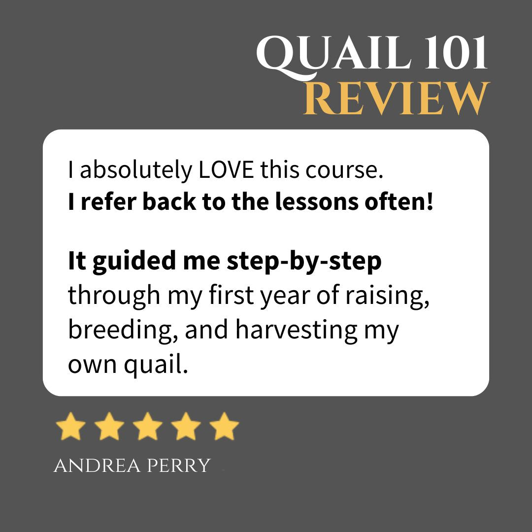 Quail 101 - Online Course
