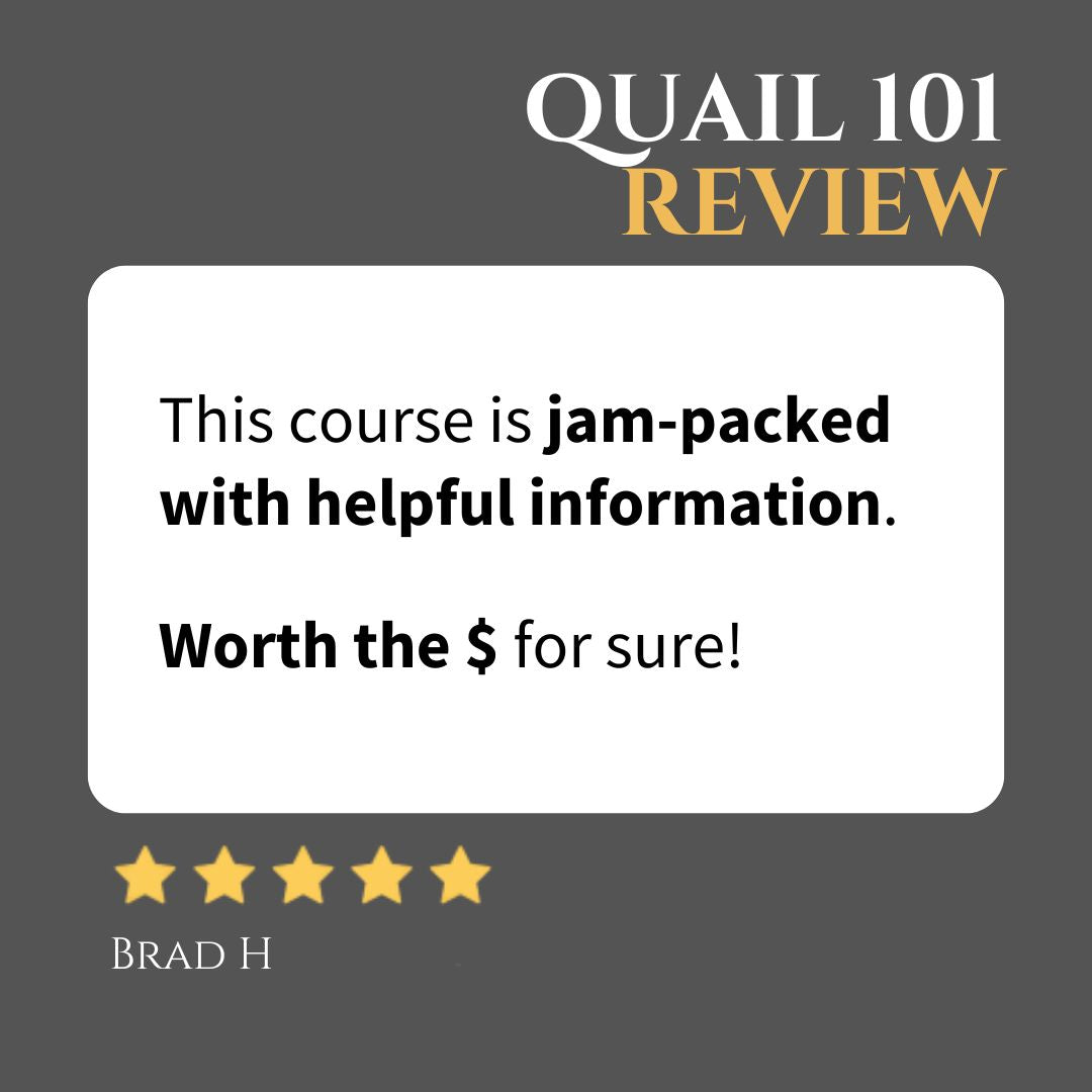 Quail 101 - Online Course