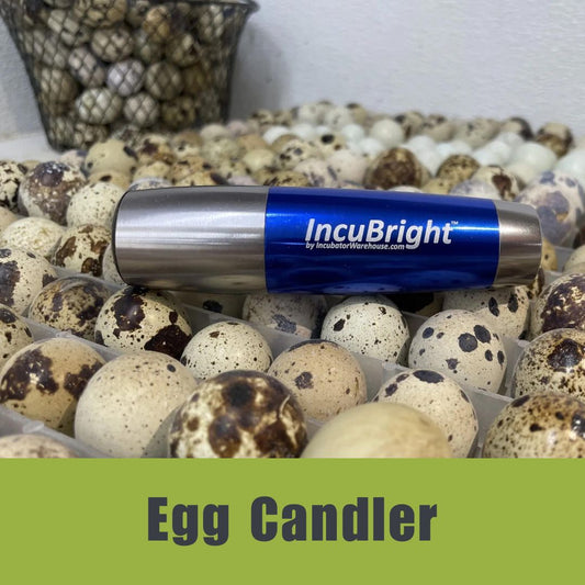 IncuBright Egg Candler