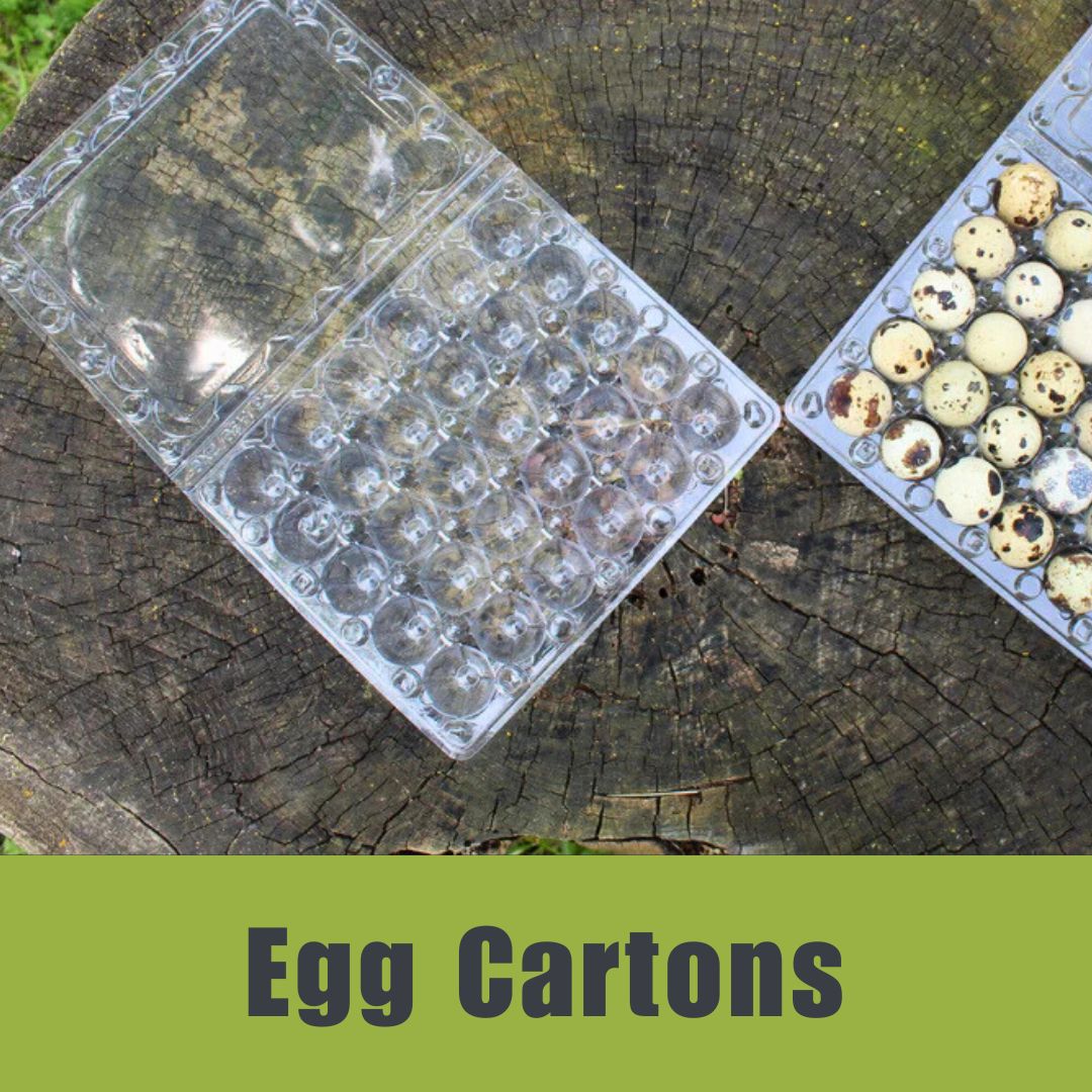 Quail Egg Cartons (each holds 30 large eggs)