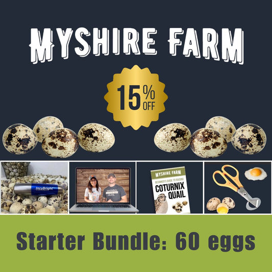 Starter Bundle (60 eggs) - Save 15%