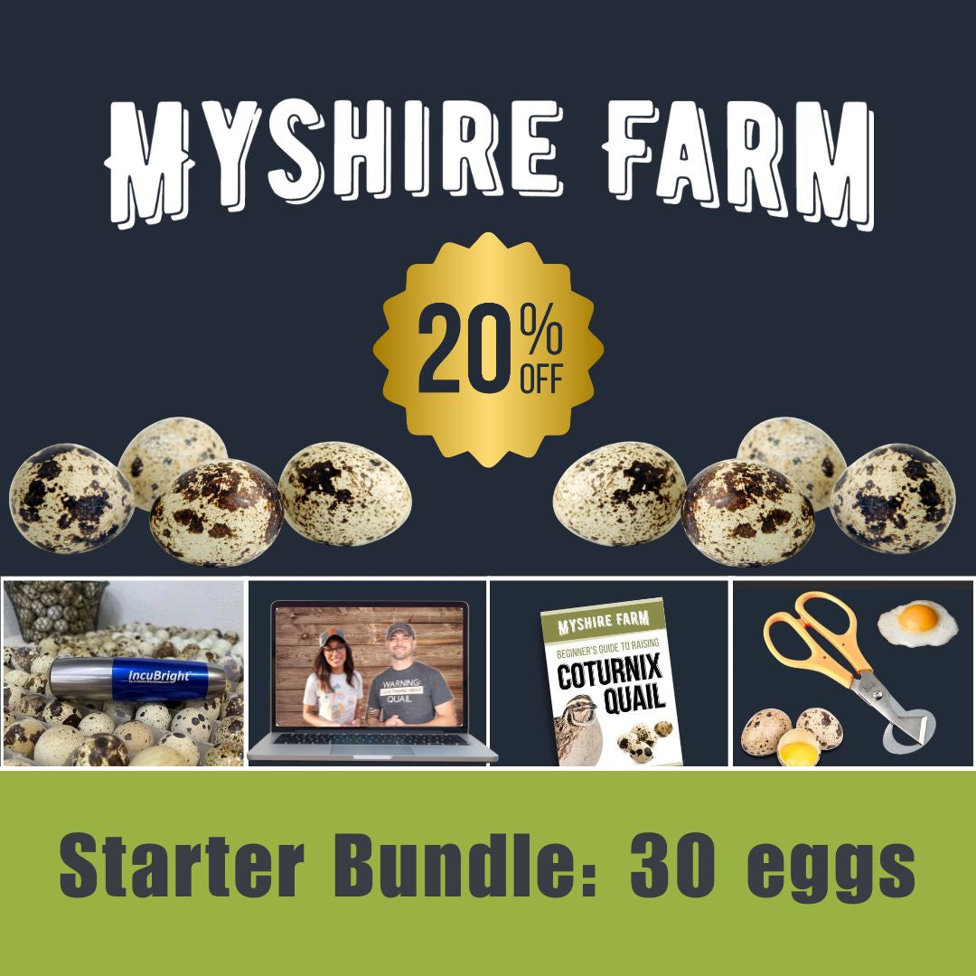 Starter Bundle (30 eggs) - Save 20%
