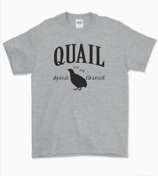 QUAIL ARE MY SPIRIT ANIMAL – Myshire Farm QUAIL ARE MY SPIRIT ANIMAL – Myshire Farm