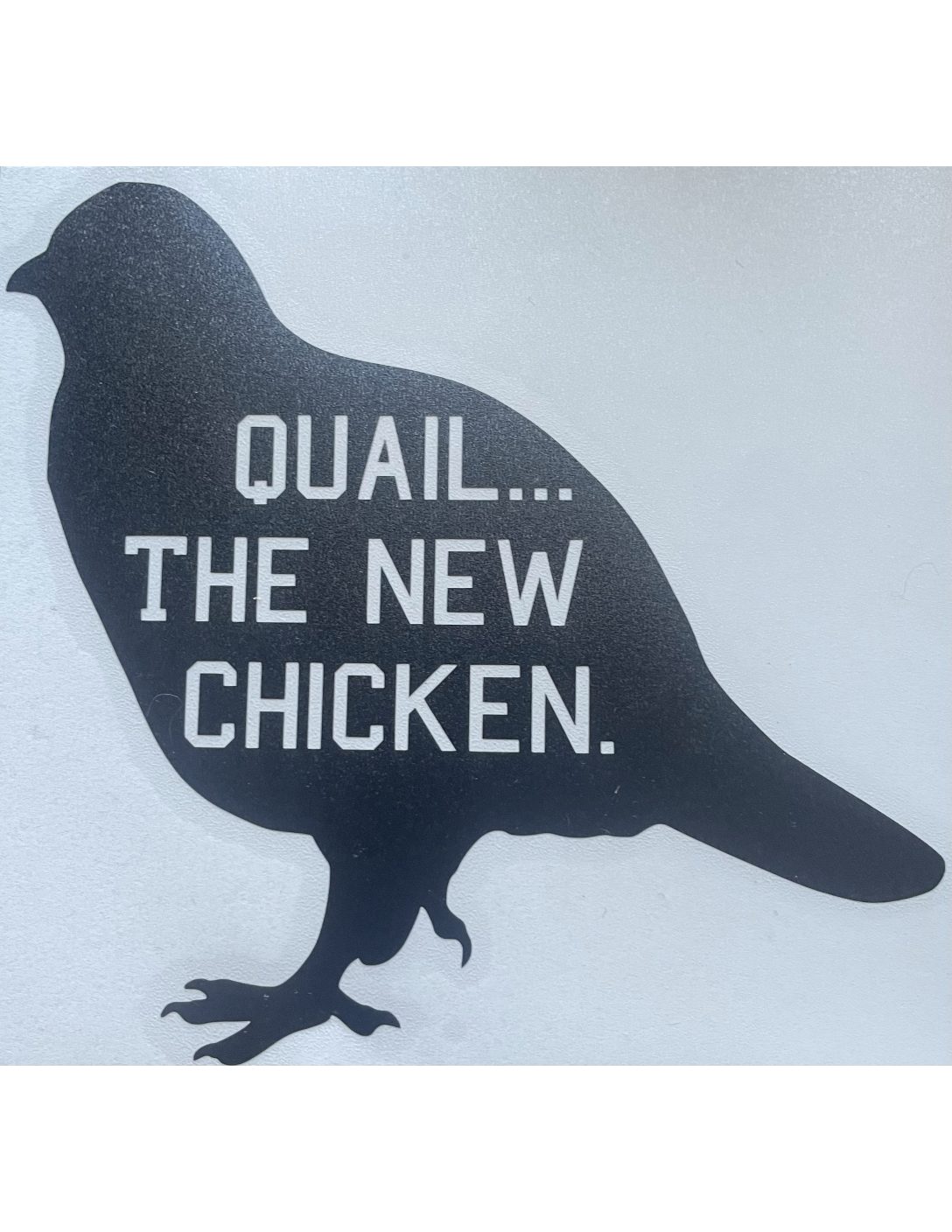 Quail…The New Chicken – DECAL – Myshire Farm